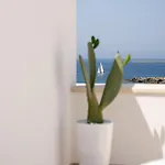 Fronte Mare Casa Daspa Appartement