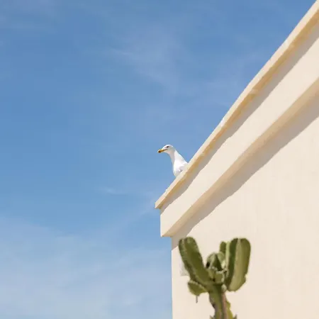 Fronte Mare Casa Daspa *