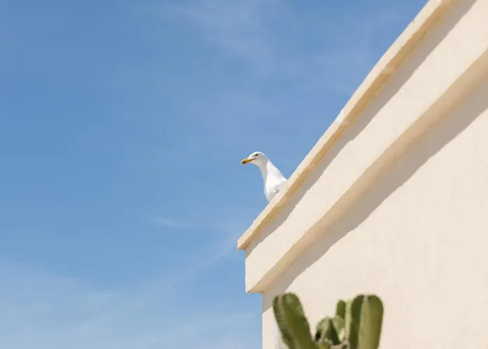 Fronte Mare Casa Daspa *